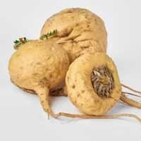 imgi_13_i-maca