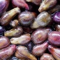 imgi_14_i-grape