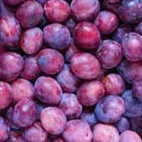 imgi_15_i-plum