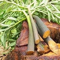 imgi_18_i-glucomannan