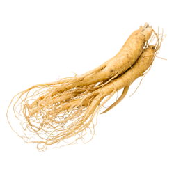 imgi_31_eleuthero root
