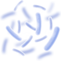 imgi_8_ing2